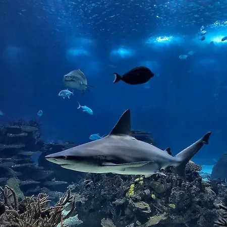 Amazing Flat - Pool And Parking Daire Lisboa